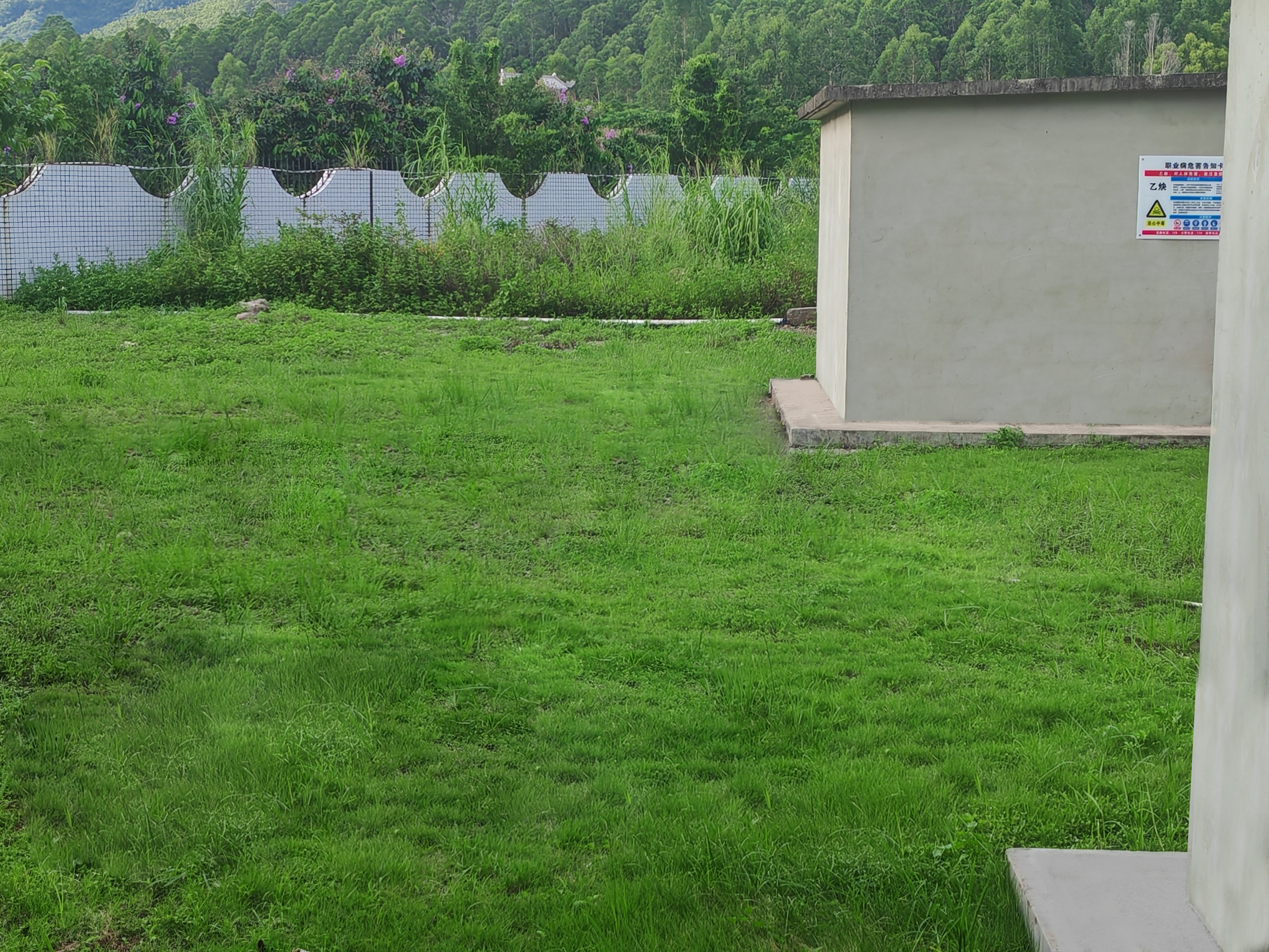 绿化带杂物整改后.jpg 绿化带杂物整改后.jpg